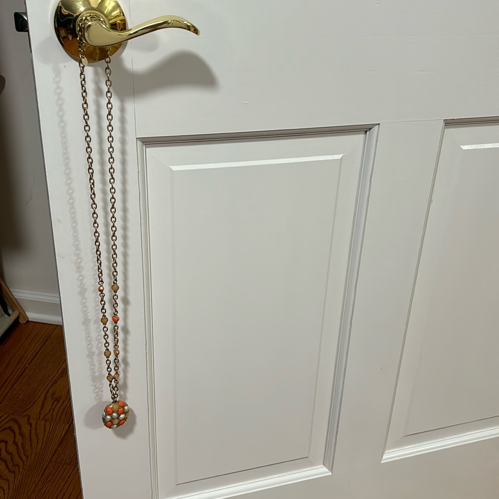 Lia Sophia long necklace